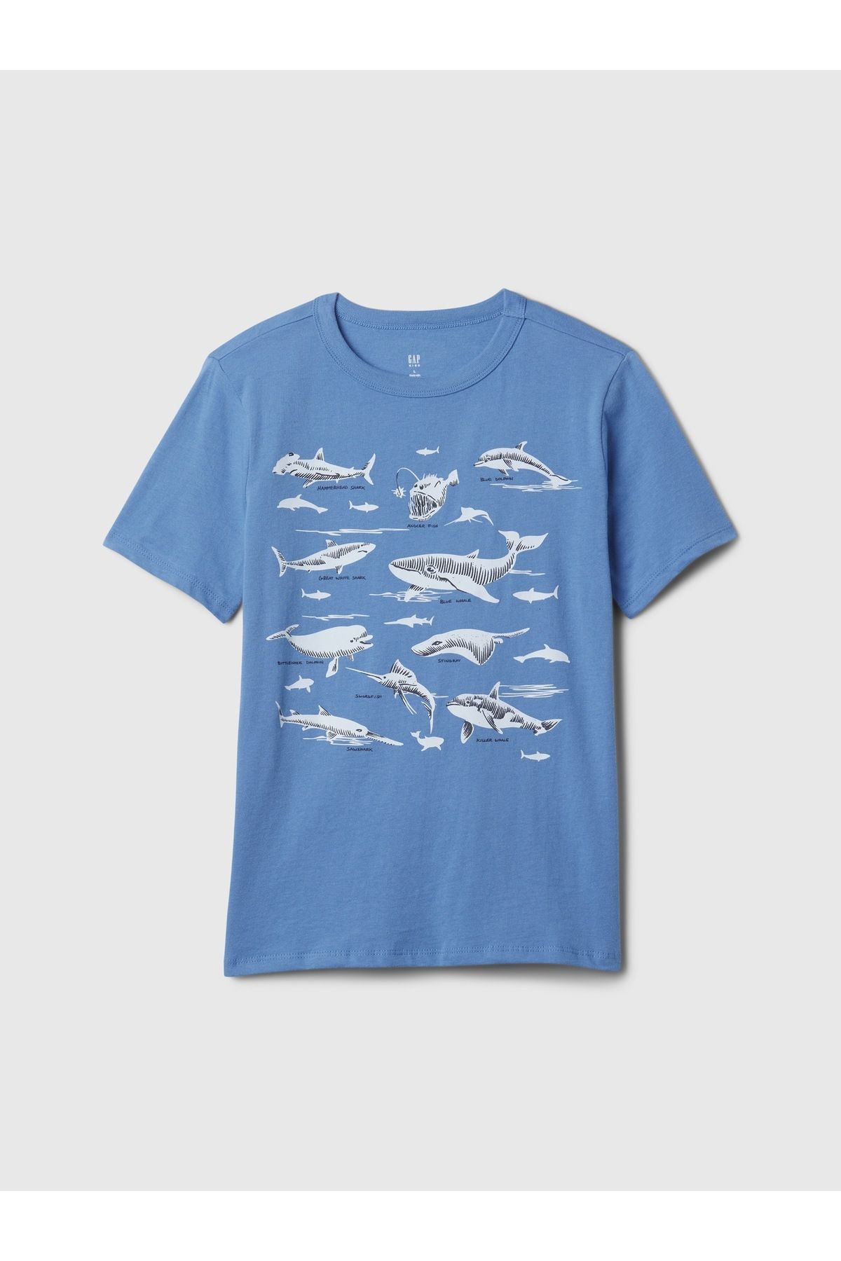 GAP Erkek Çocuk Mavi Grafikli T-Shirt