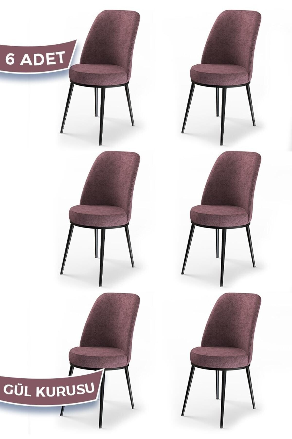 Canisa Concept Dexa Serisi, Üst Kalite Yemek Odası Sandalyesi, Metal Siyah Iskeletli, 6 Adet Gülkurusu Sandalye