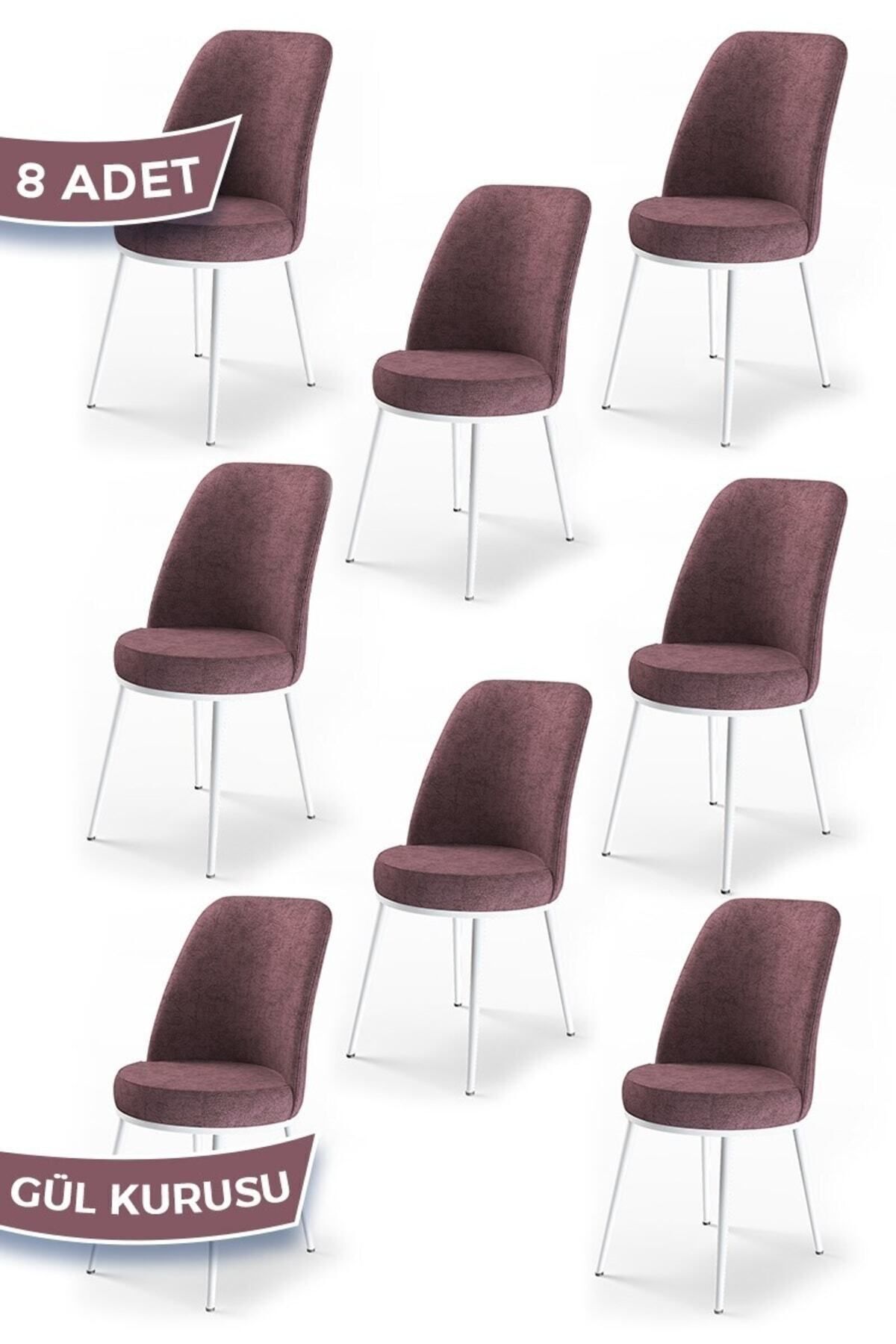Canisa Concept Dexa Serisi, Üst Kalite Yemek Odası Sandalyesi, Metal Beyaz Iskeletli, 8 Adet Gülkurusu