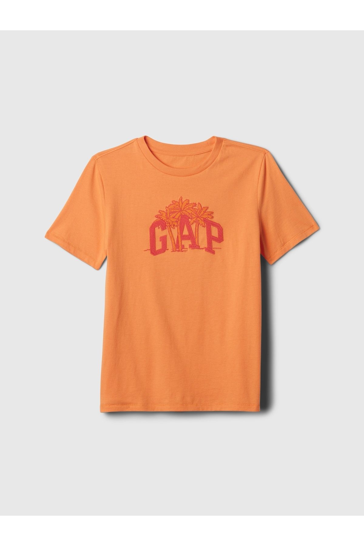 GAP Erkek Çocuk Turuncu Gap Logo T-Shirt