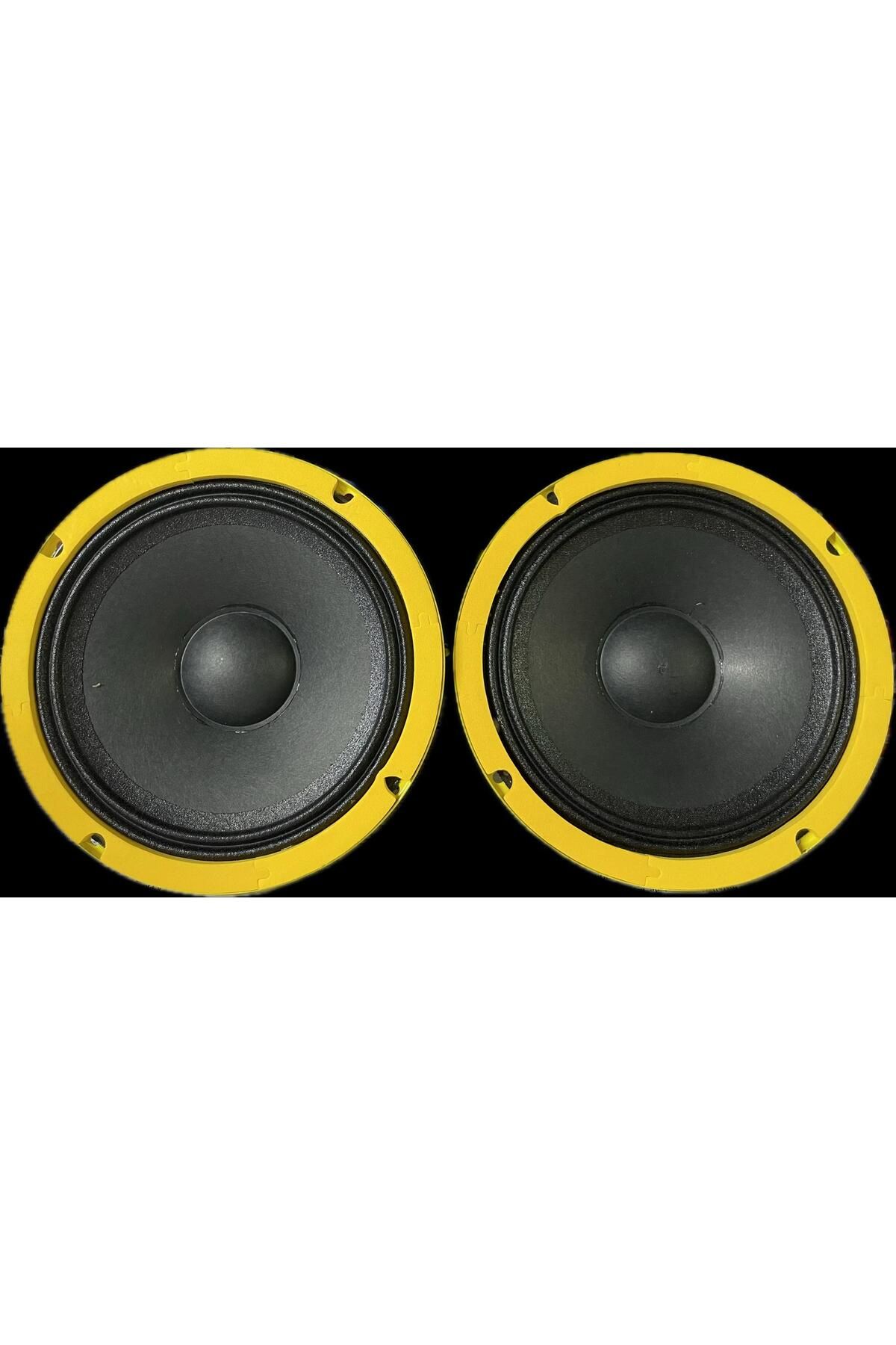 Bm Audio BM AUDİO 16 CM MİDRANGE 650 WATT MAXİMUM POWER ÇİFT FİYATIDIR