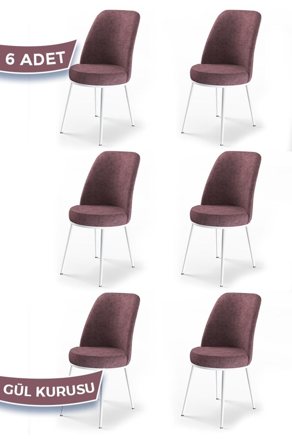 Canisa Dexa Serisi, Üst Kalite Mutfak Sandalyesi, 6 Adet Gülkurusu Sandalye, Metal Beyaz Iskeletli