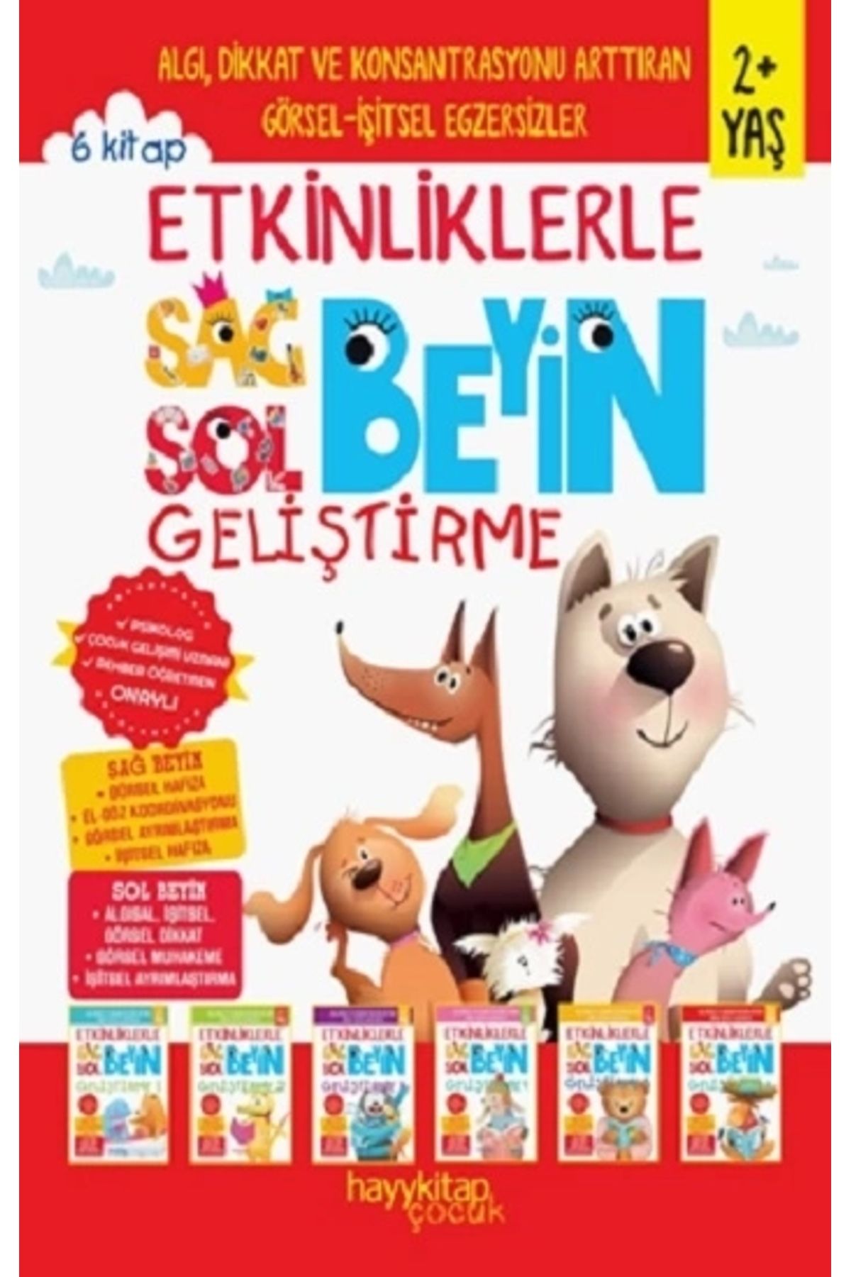 Hayykitap Etkinliklerle Sağ Beyin Sol Beyin Geliştirme (2 YAŞ) 6'lı Set