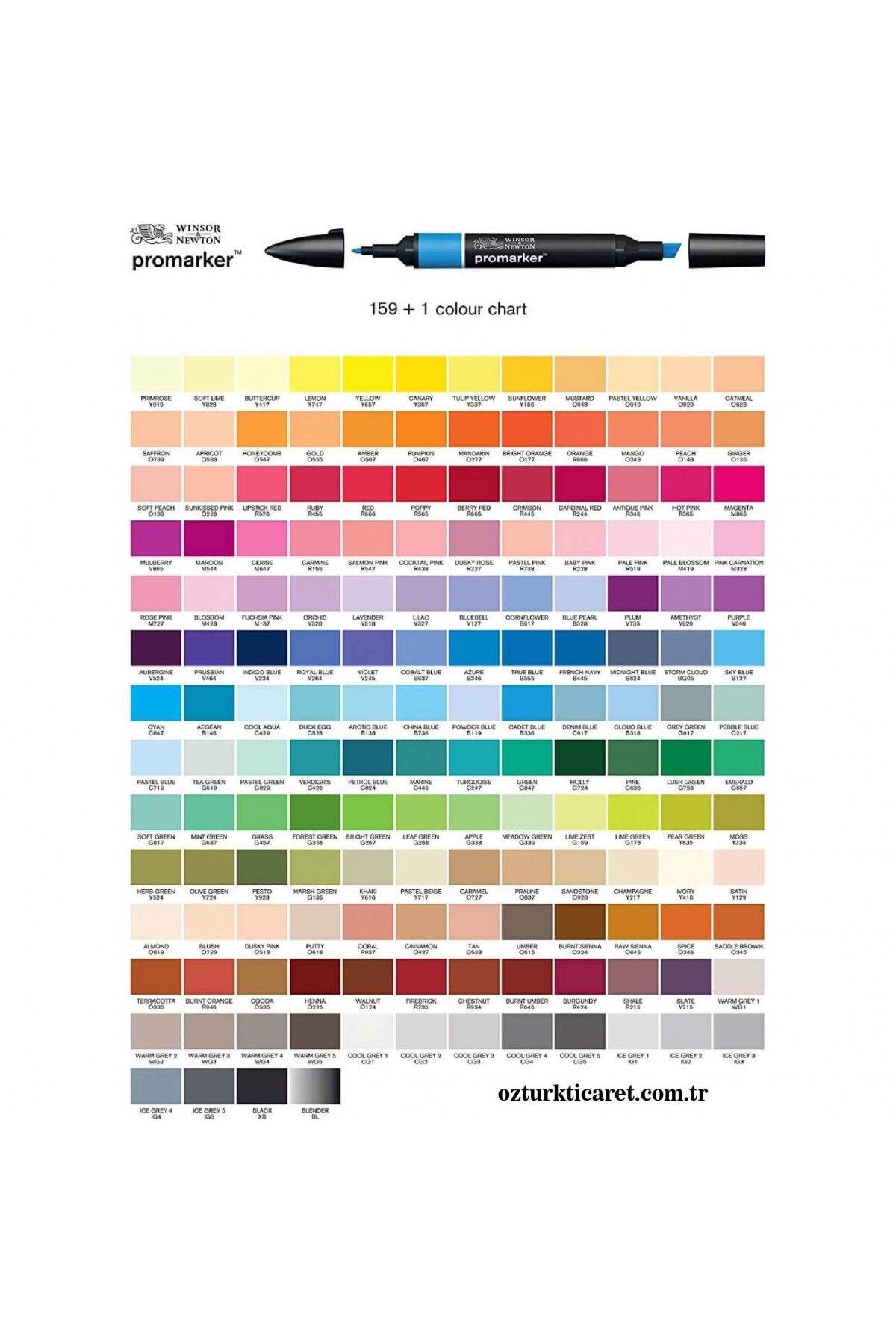 Winsor Newton Promarker Çift Uçlu Alkol Bazlı Grafik Çizim Kalemi Verdigris (C426)