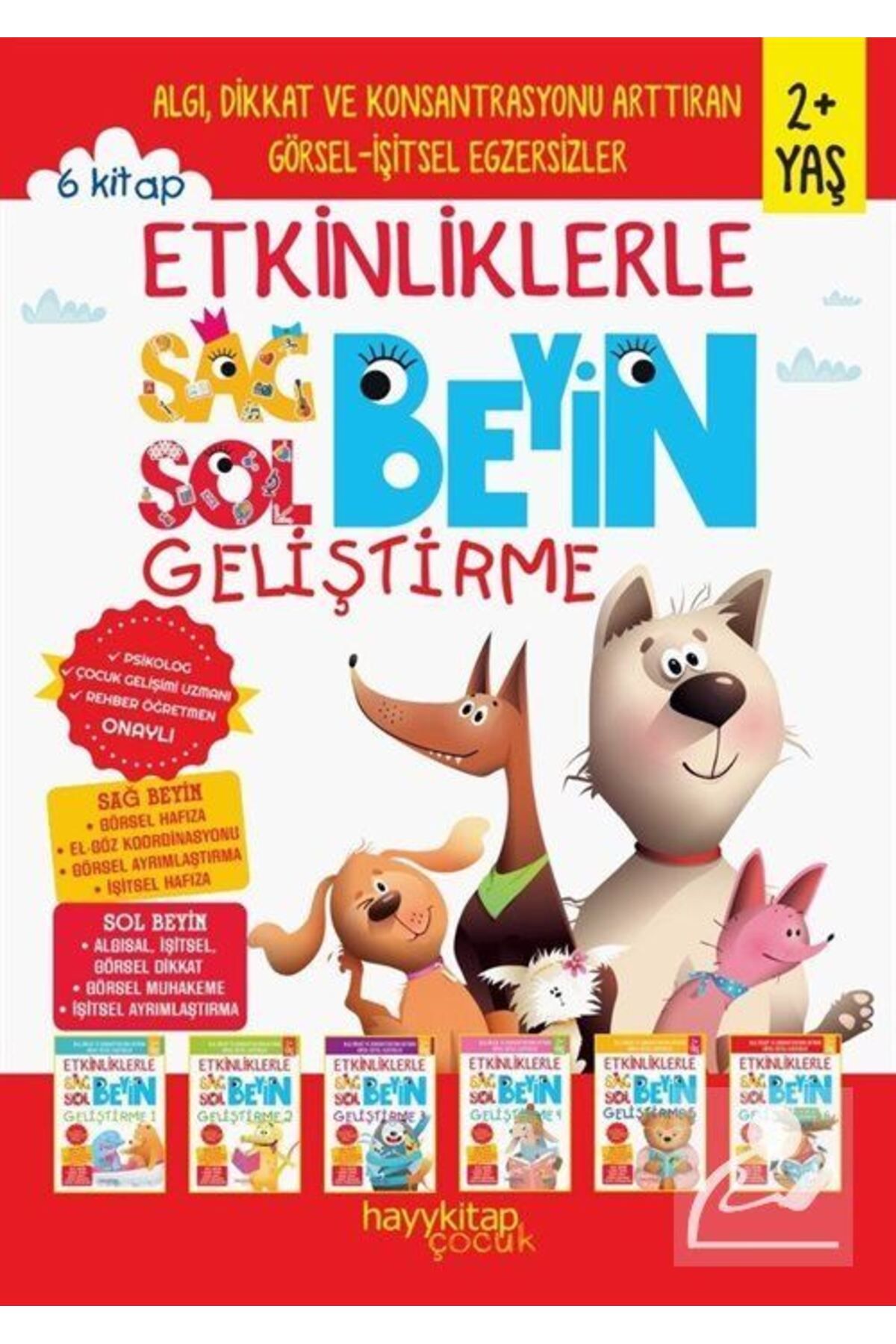 Hayykitap Etkinliklerle Sağ Beyin Sol Beyin Geliştirme (2+ Yaş) (6'lı Set)