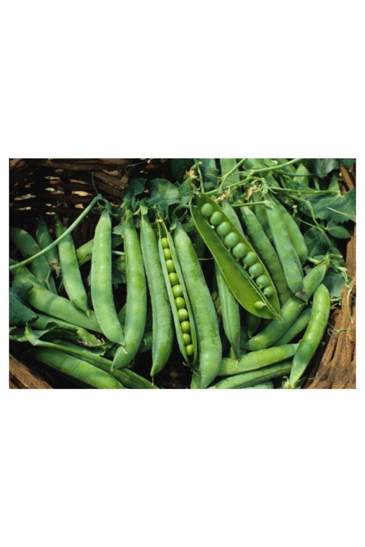Doğadan Yerli Taze Bezelye 1 Kg