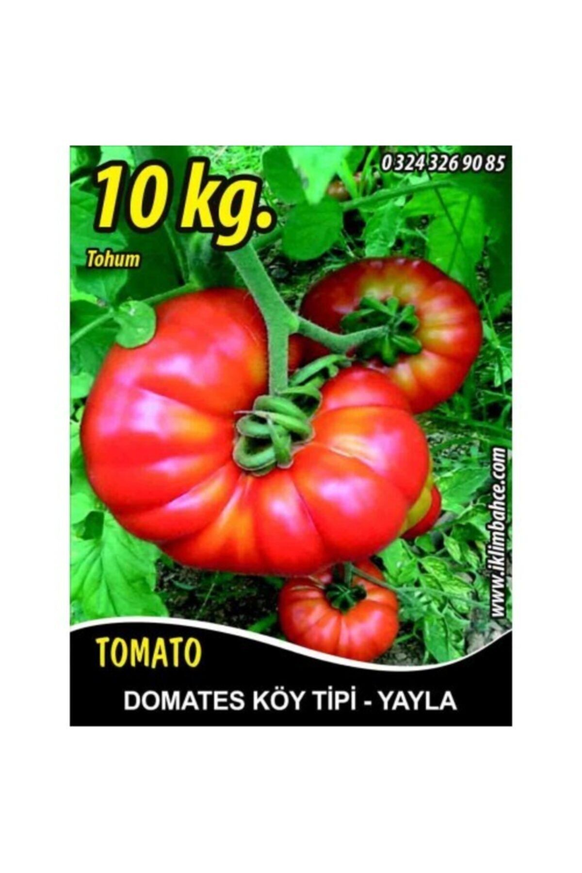 Euro Seed Domates Tohumu Mermande - Köy Tipi - Yayla - 10 KG
