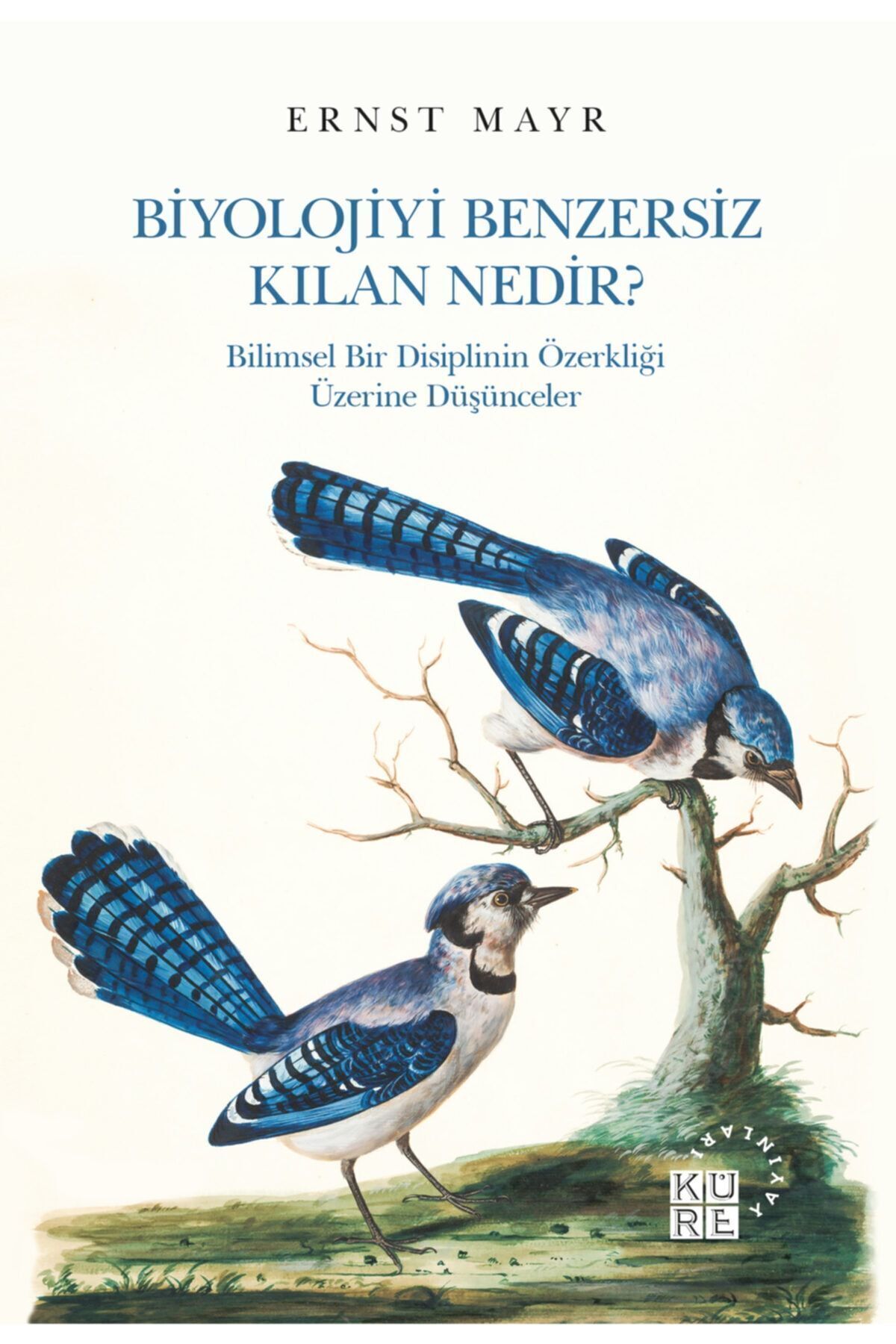 Genel Markalar Biyolojiyi Benzersiz Kılan Nedir? / Ernst Mayr / Küre Yayınları / 9786057646637