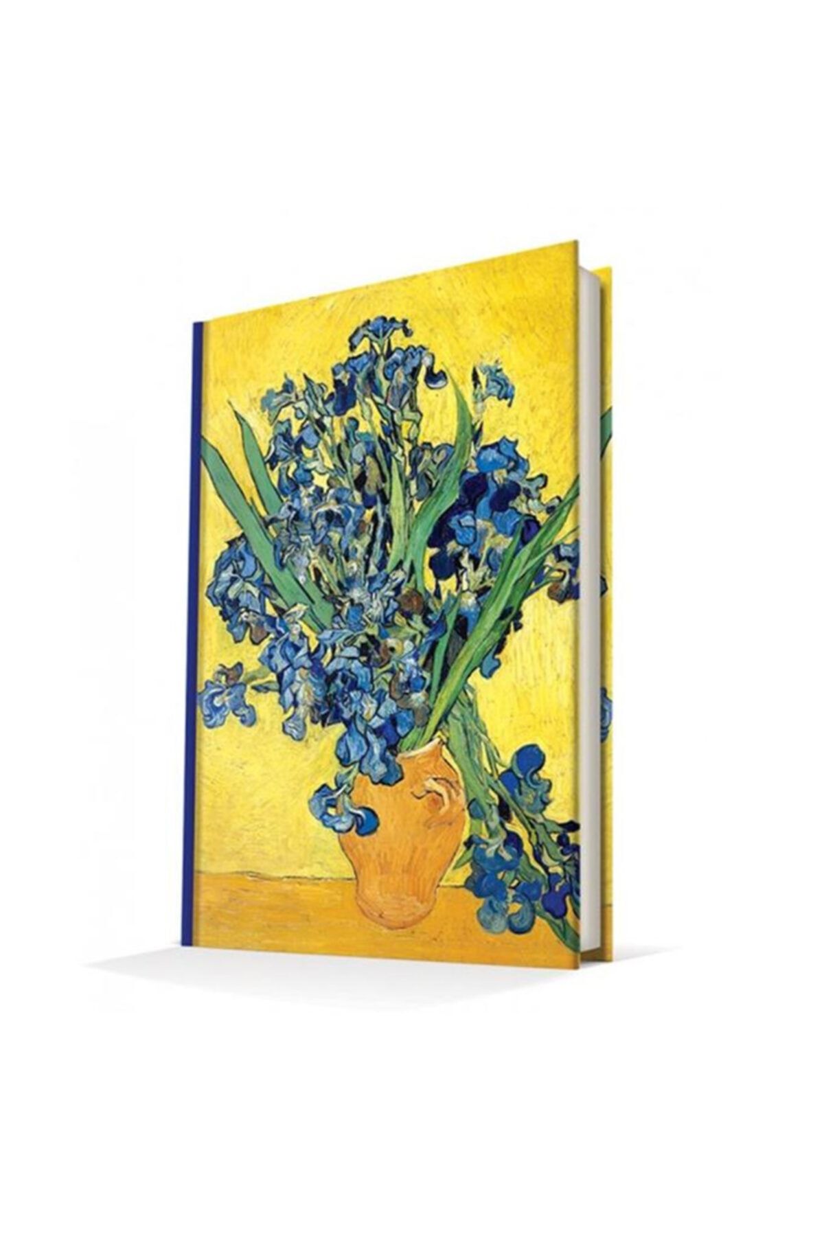 Van Gogh Les Iris A5 Çizgili Sert Kapak Defter