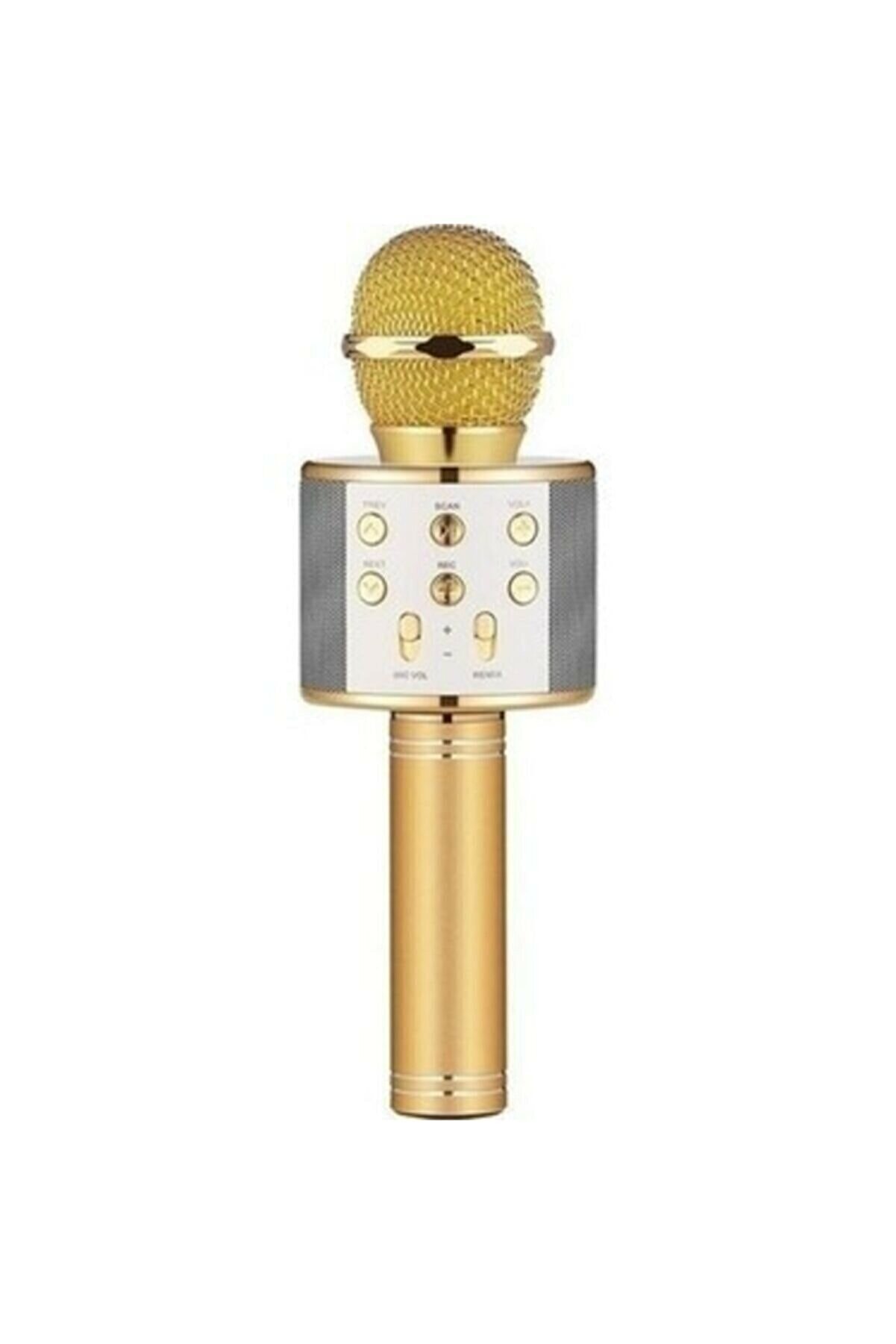 Oguzbeyteknoloji Karaoke Bluetooth Usb Hafıza Kartı Ve Aux Girişli Mikrofon