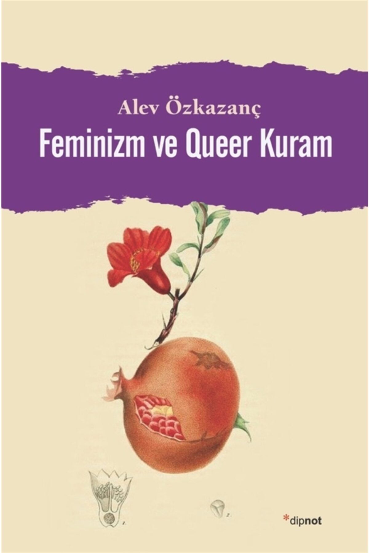 Dipnot Yayınları Feminizm Ve Queer Kuram / Alev Özkazanç / / 9786054878321