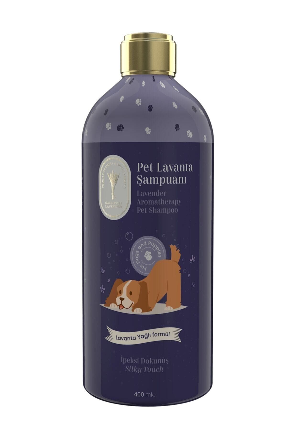 Gallipoli Lavender Lavanta Yağlı Köpek Şampuanı 400 ml Antiseptik Pet Şampuan