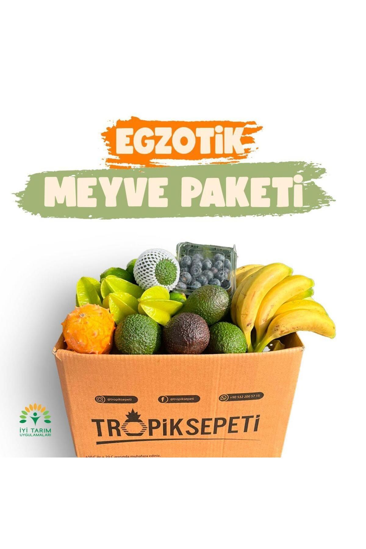 TROPİK SEPETİ Egzotik Hediye Paketi