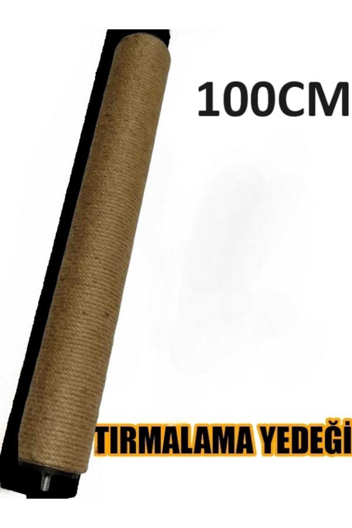 CTX Kedi Tırmalama Tahtası Yedeği - Kedi Tırmalama