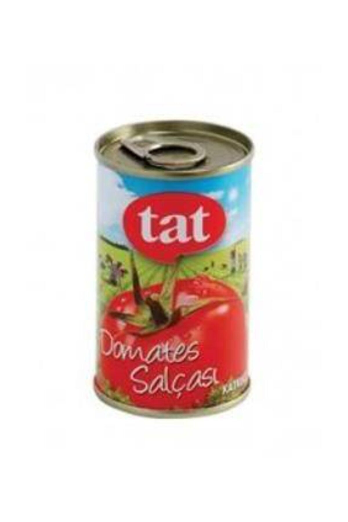 Tat Salça Domates (Tnk) 170 Gr