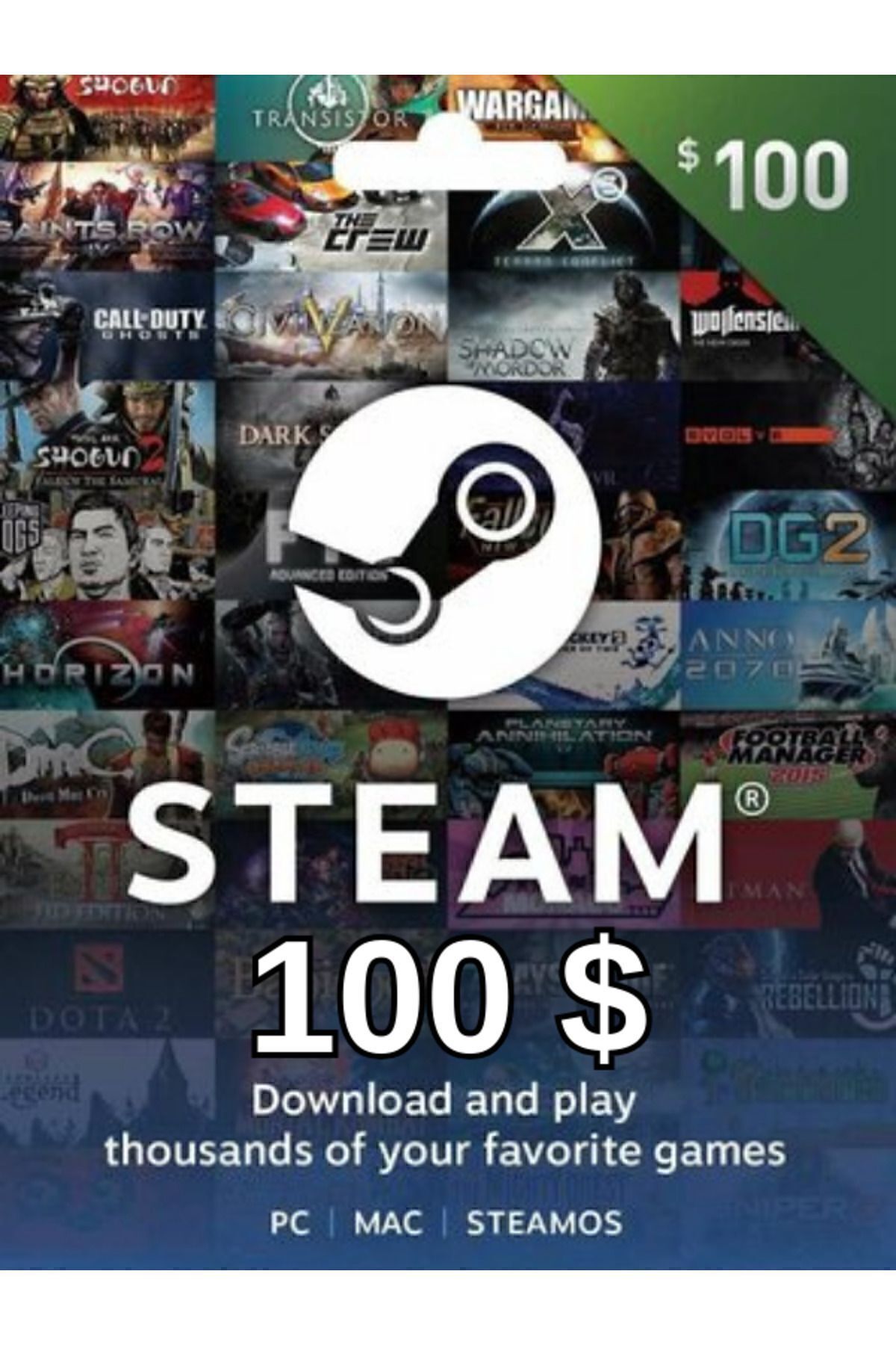 Steam Cüzdan Kodu 100 USD