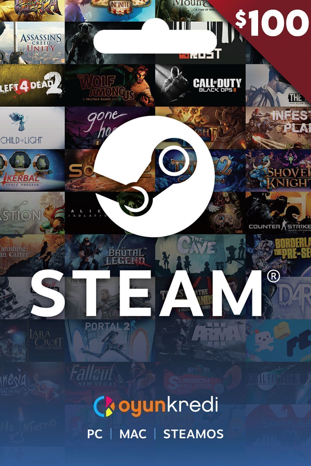 Steam 100 Usd