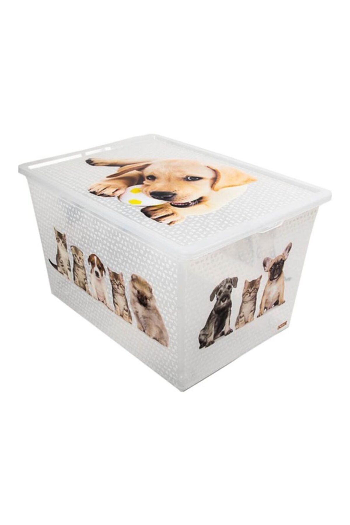 QUTU Lighte Box Cat And Dog Oyuncak Kutusu