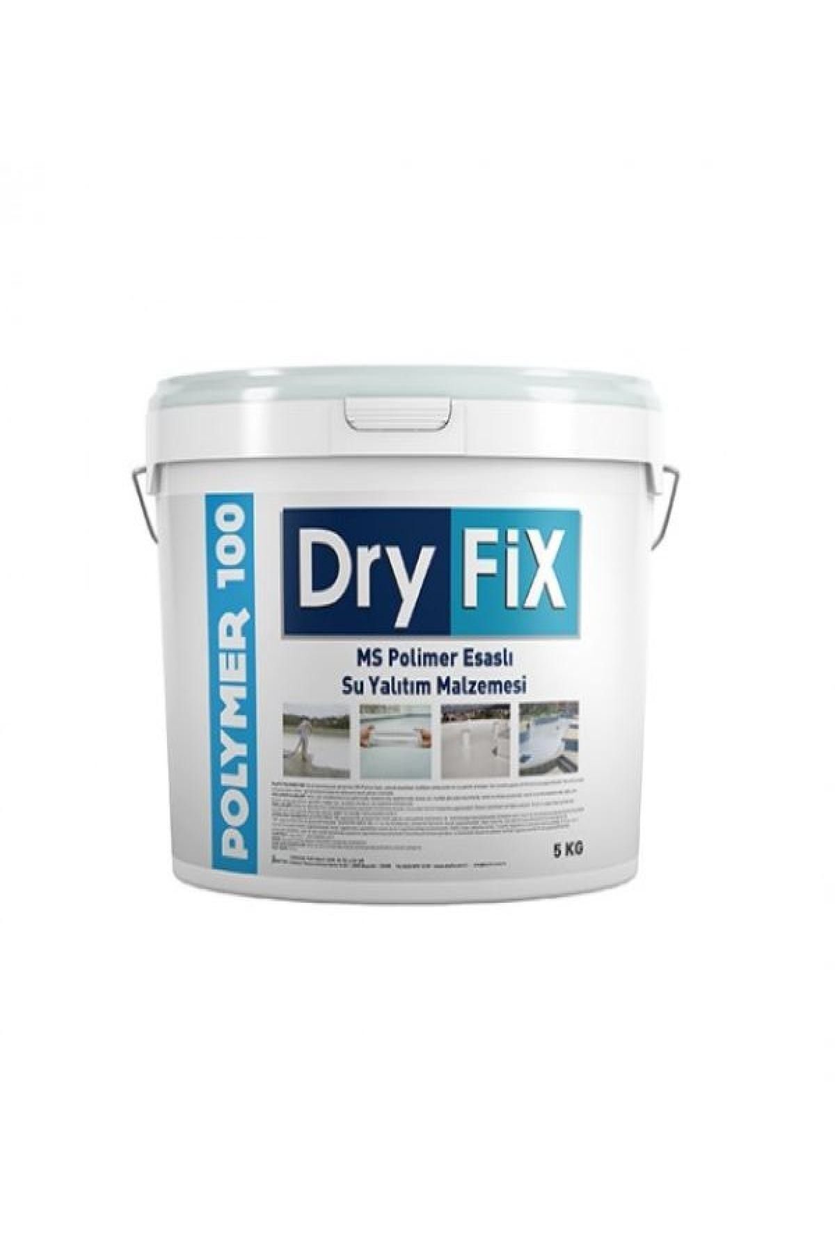 Dryfix Polimer 100