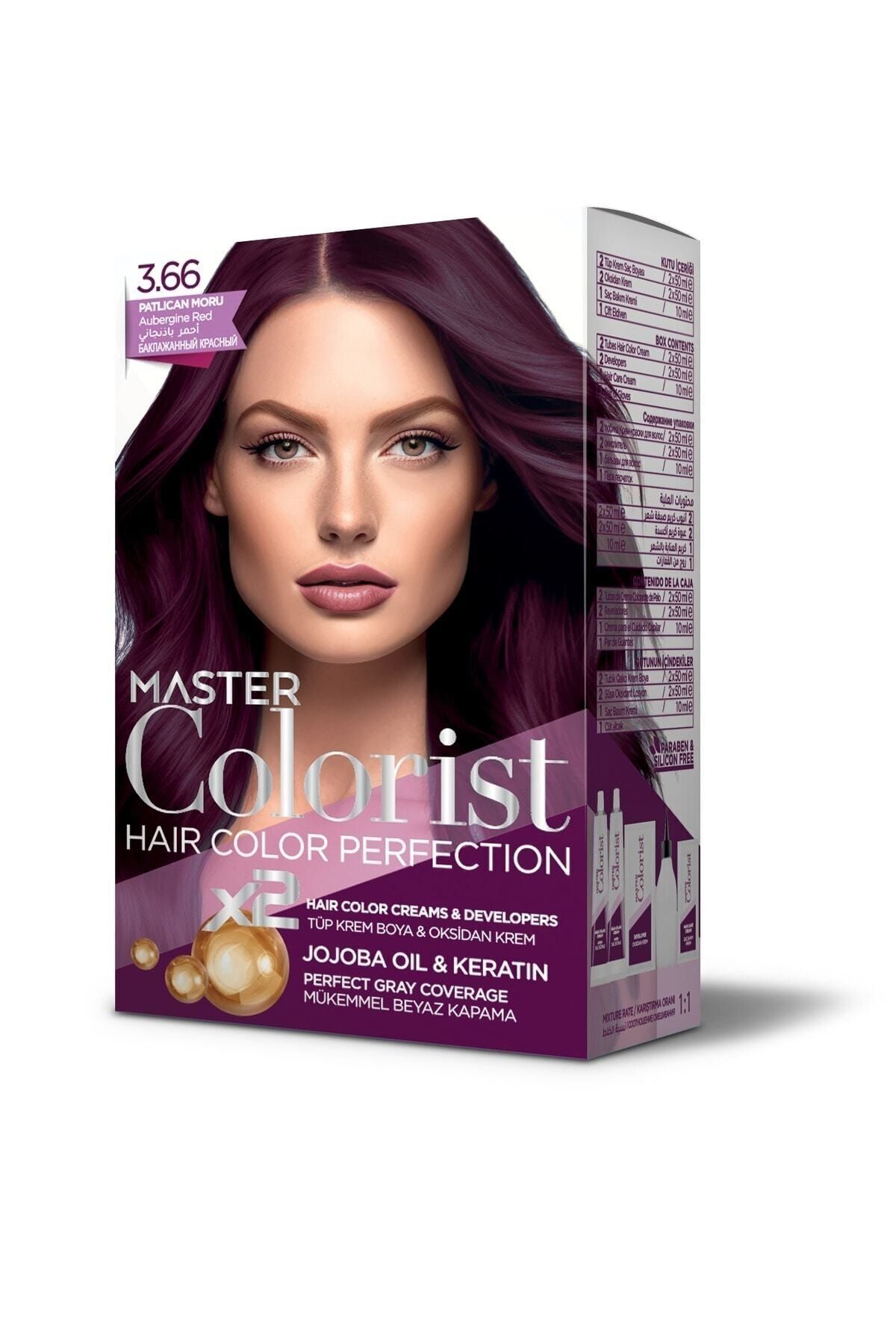 Master colorist 3.66 Patlıcan Moru Set Boya