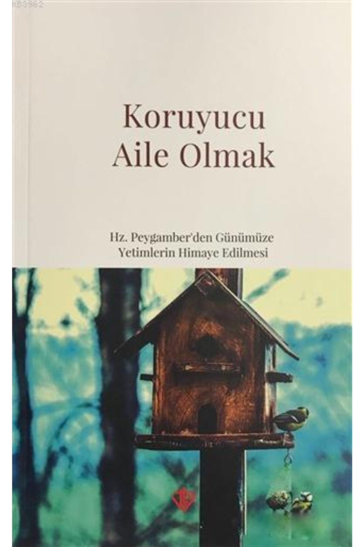 Türkiye Diyanet Vakfı Yayınları Koruyucu Aile Olmak//kolektif