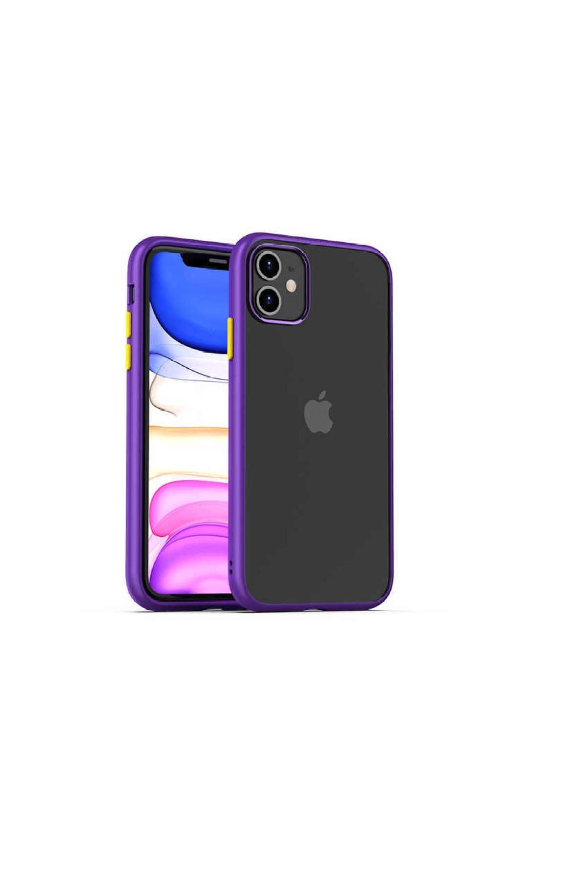 CaseWorld Apple Iphone 11 Uyumlu Kapak Arkası Şeffaf Kenarları Renkli Exclusive Kılıf - Mor