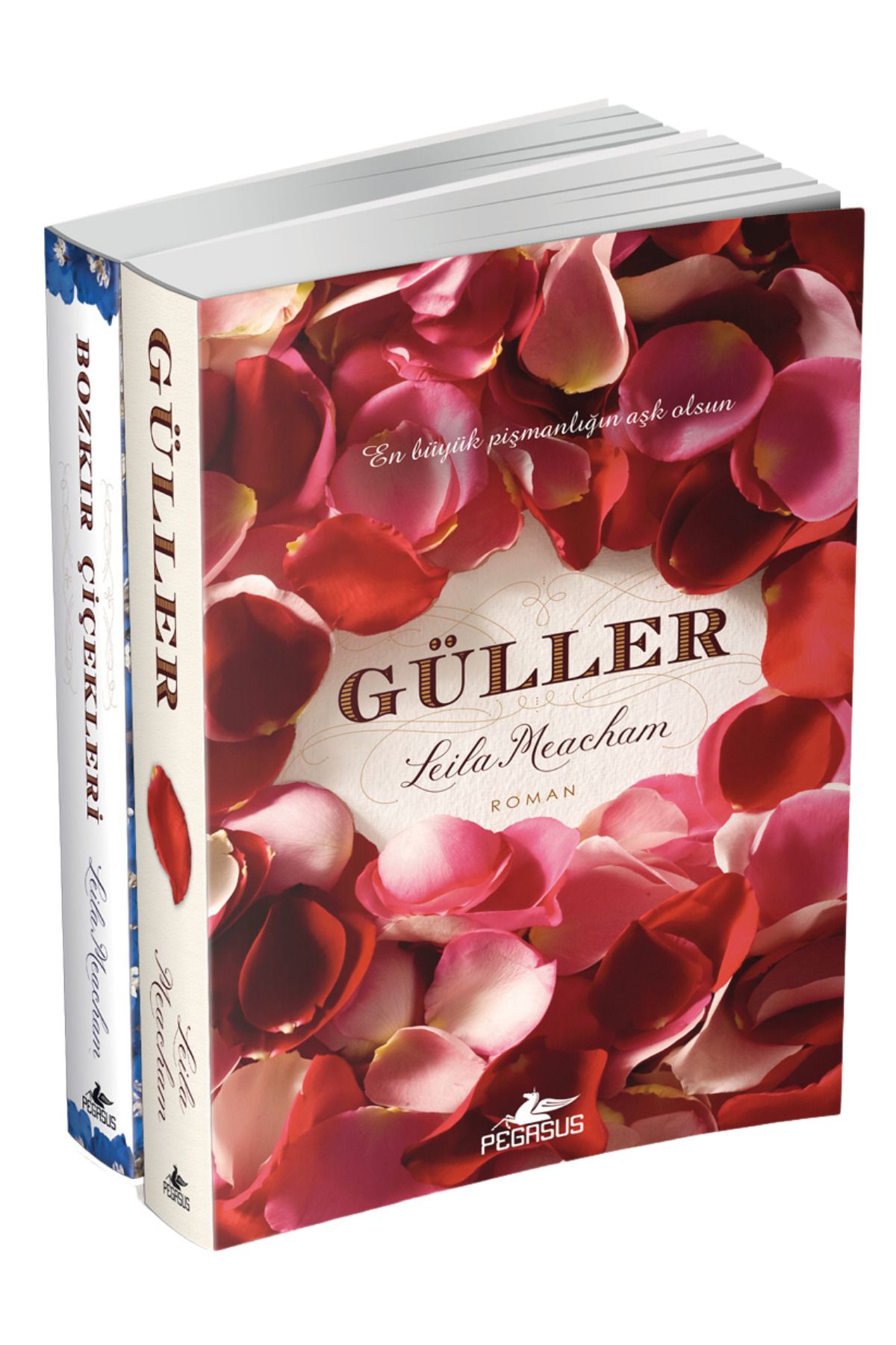 Pegasus Yayınları Güller - Bozkır Çiçekleri - 2 Kitap Takım Set & Leila Meacham