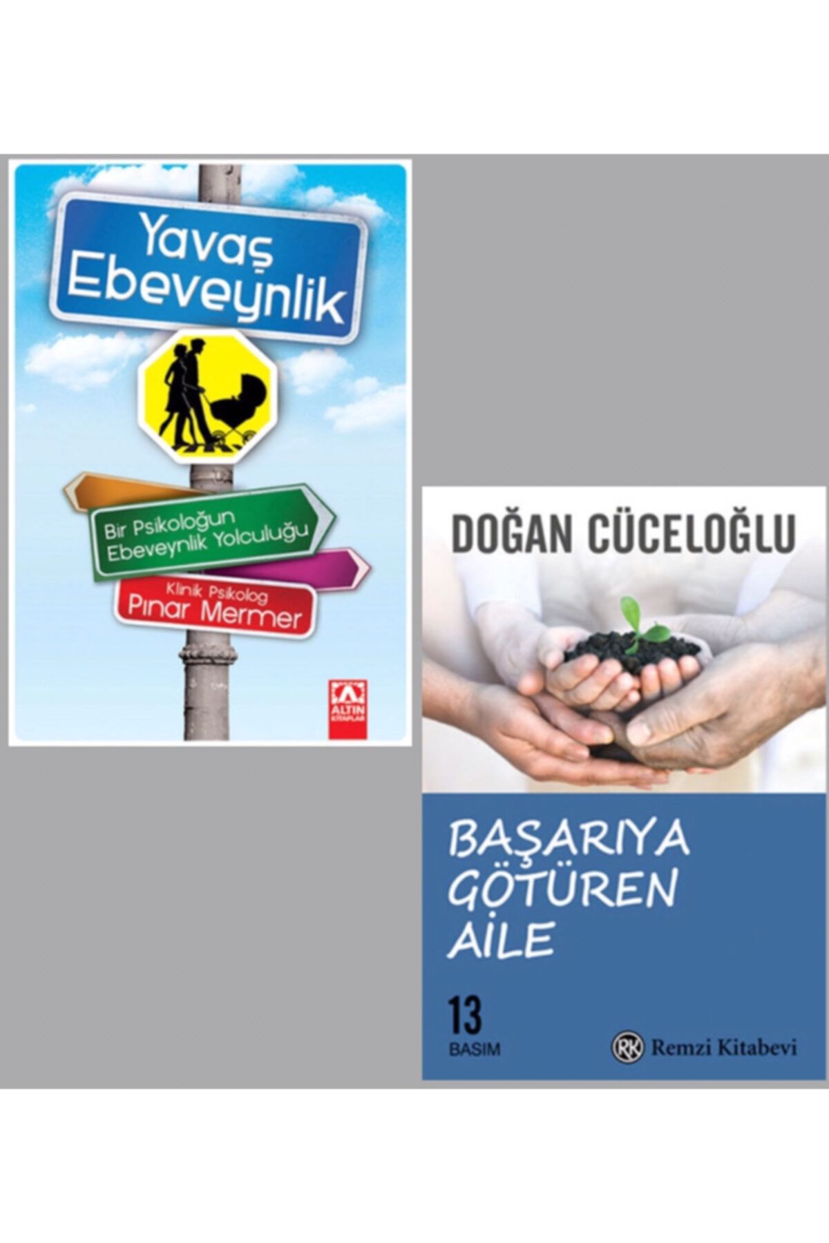 Remzi Kitabevi Başarıya Götüren Aile - Yavaş Ebeveynlik, Doğan Cüceloğlu - Pınar Mermer