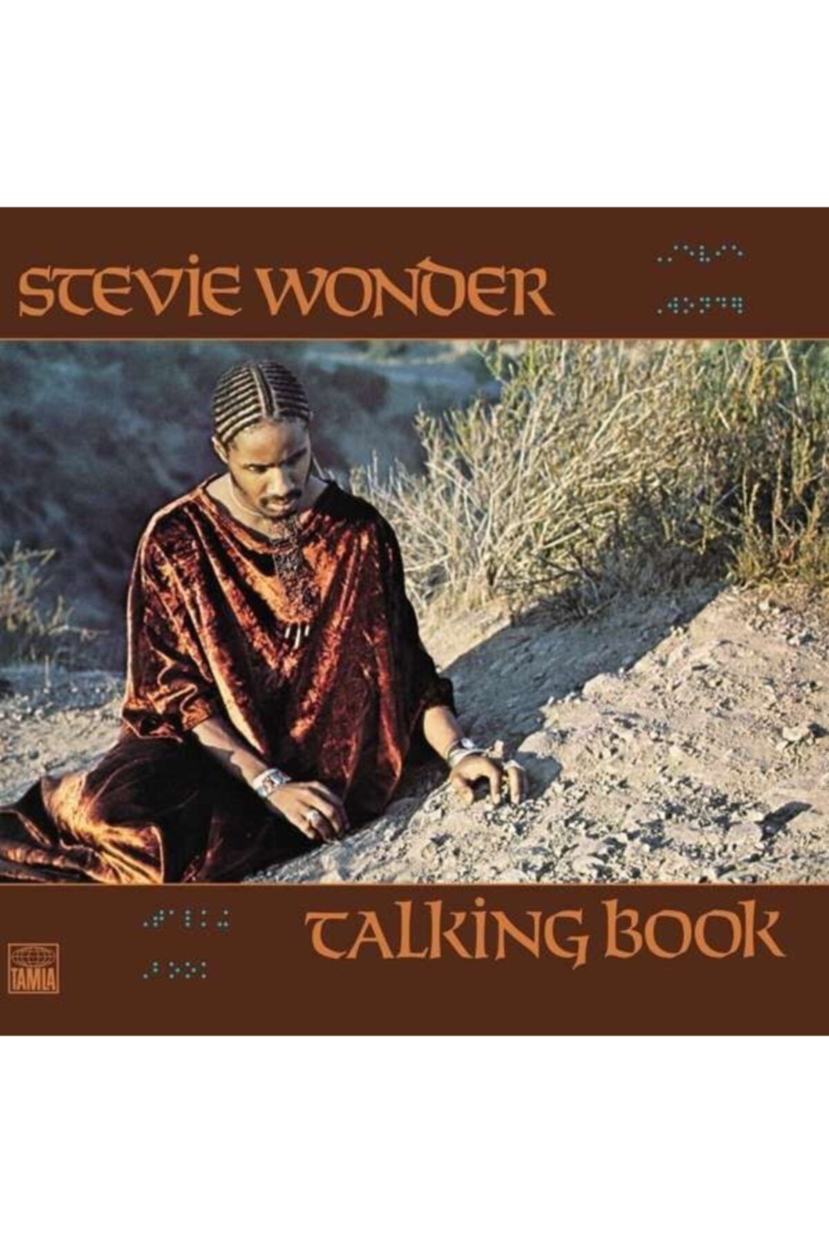 Genel Markalar Yabancı Plak - Stevie Wonder / Talking Book