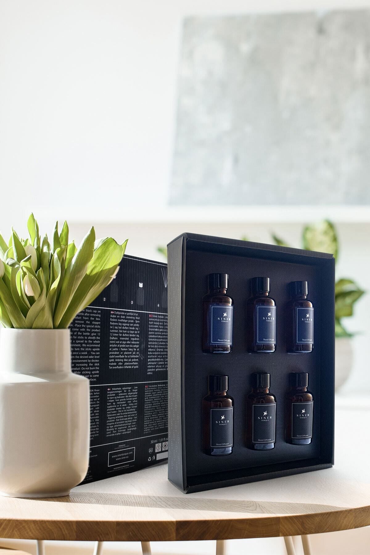 Siner Torque Reed Diffuser 6’lı Minimal Seri Bambu Çubuklu Oda Kokusu (Bambu Koku Set Iı)
