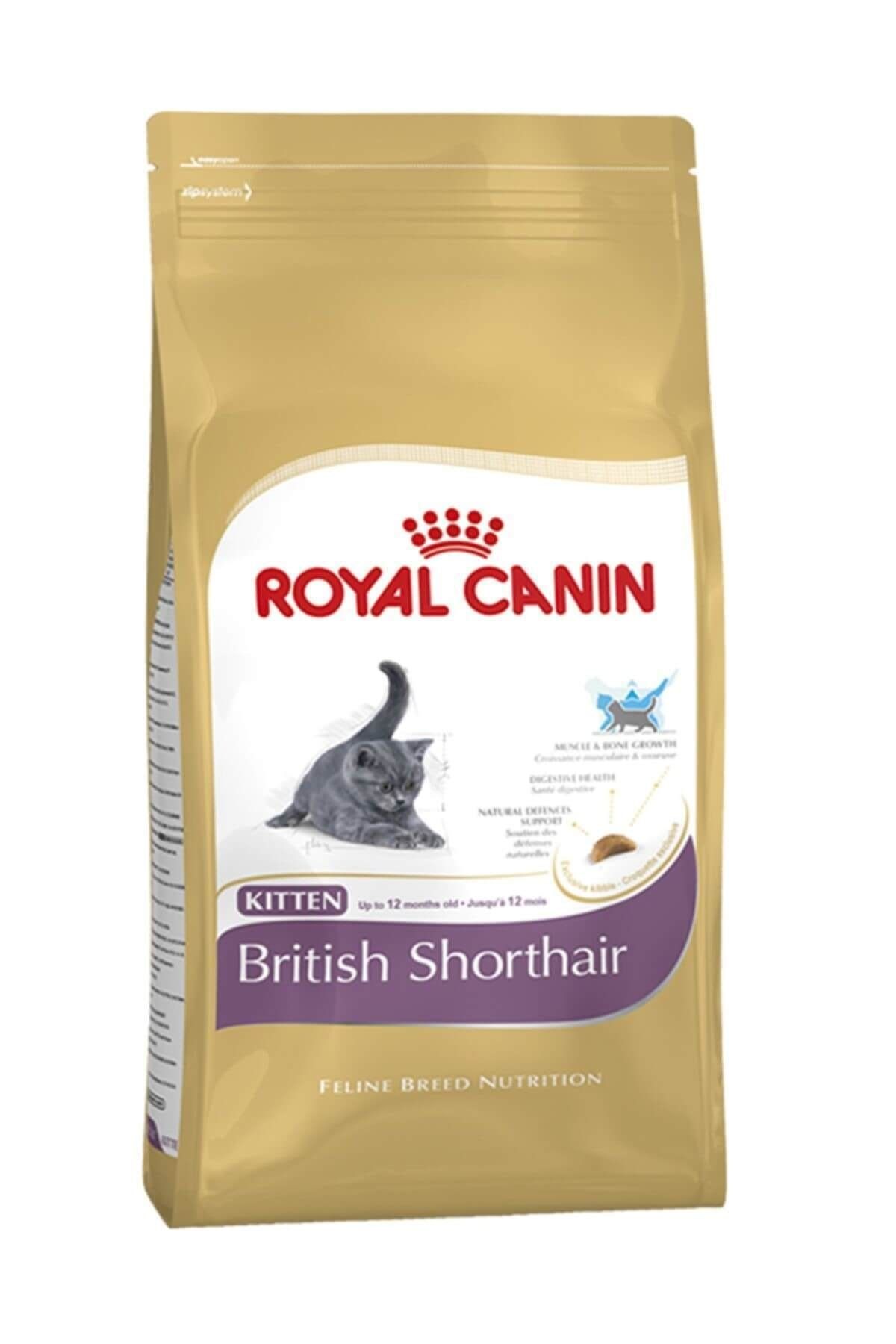Royal Canin British Shorthair İçin Özel Yavru Kedi Mamasi 2 kg