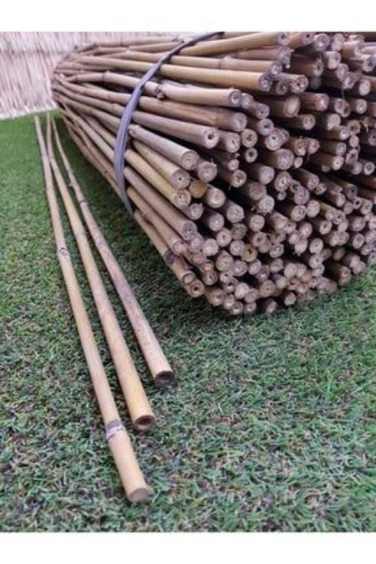 UZAY BAHÇESİ Gerçek Bambu 240 Cm 20-22 Mm Bambu Çubukbitki Destek Çubuğudogal Bambu Çubuk 10 Adet