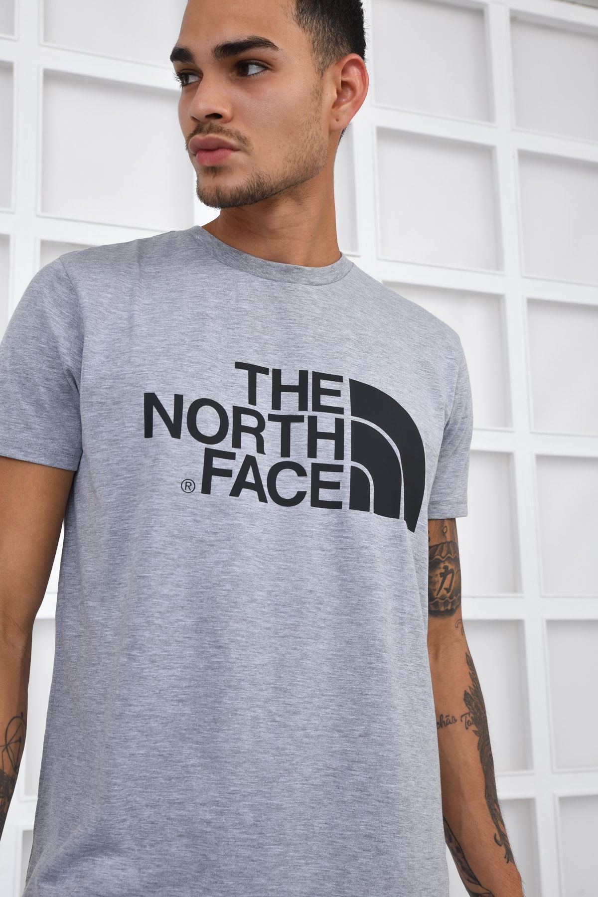 The North Face Erkek Gri Tişört