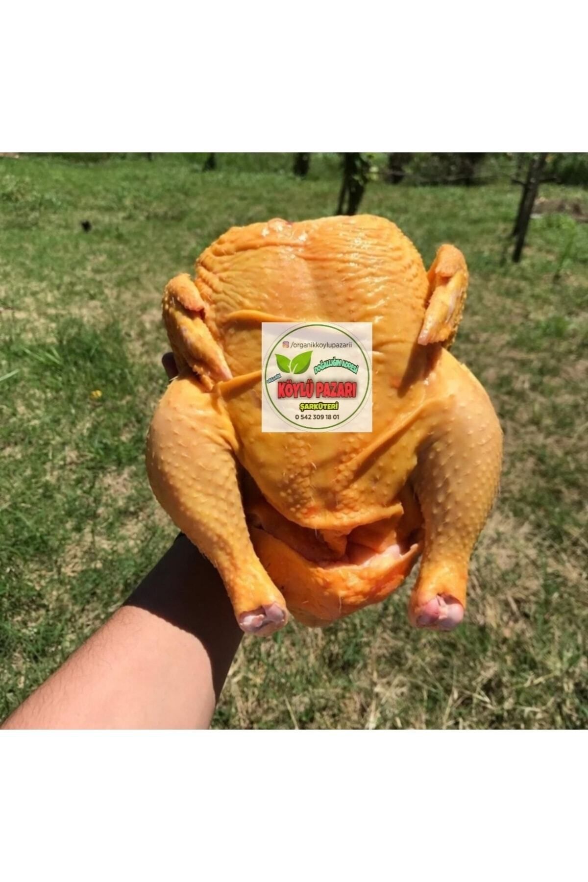 köylü Serbest Gezen Köy Tavuğu 3.5 Kg