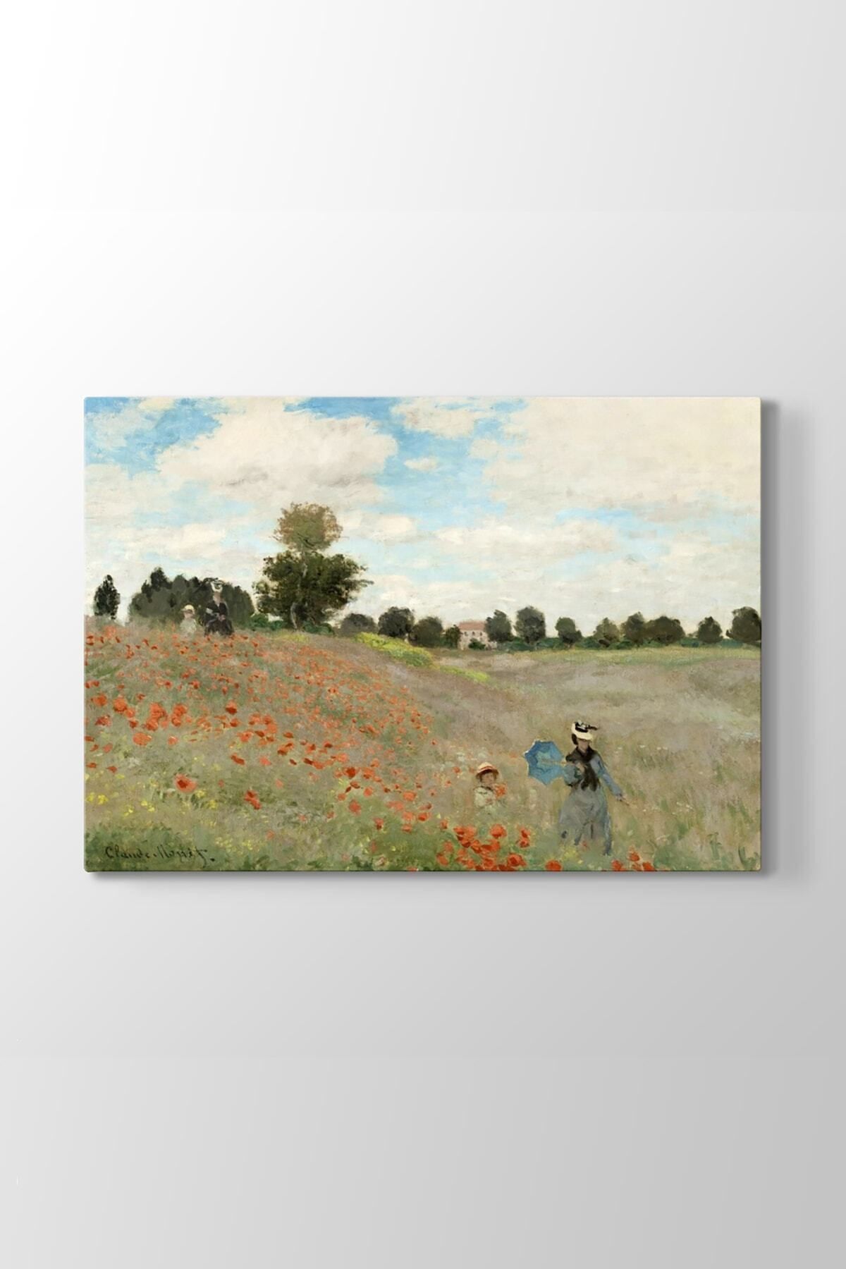 Şehzat Claude Monet - Poppy Field Tablosu