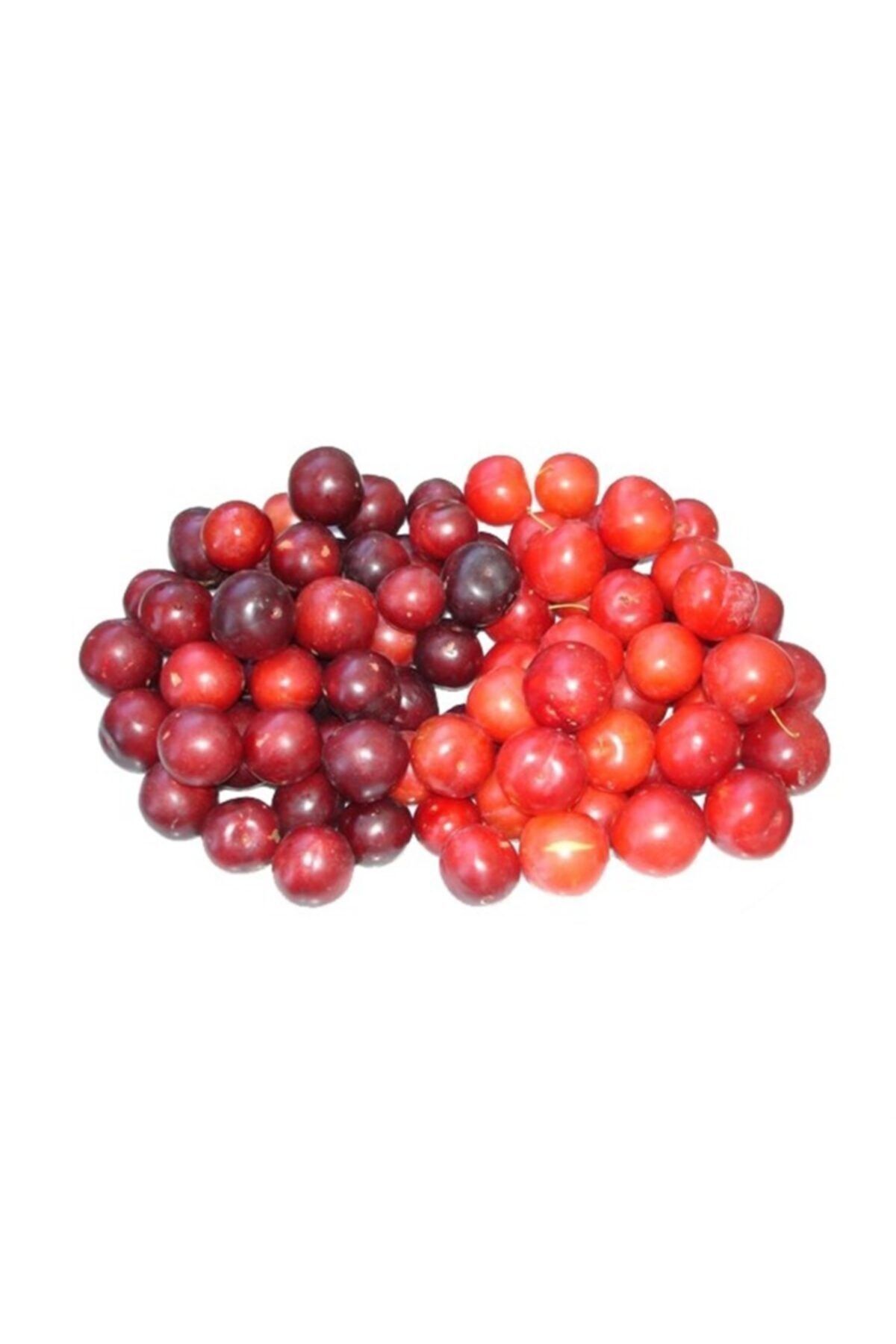 Sebze Meyve Dünyası Dağ Eriği (500 Gr )