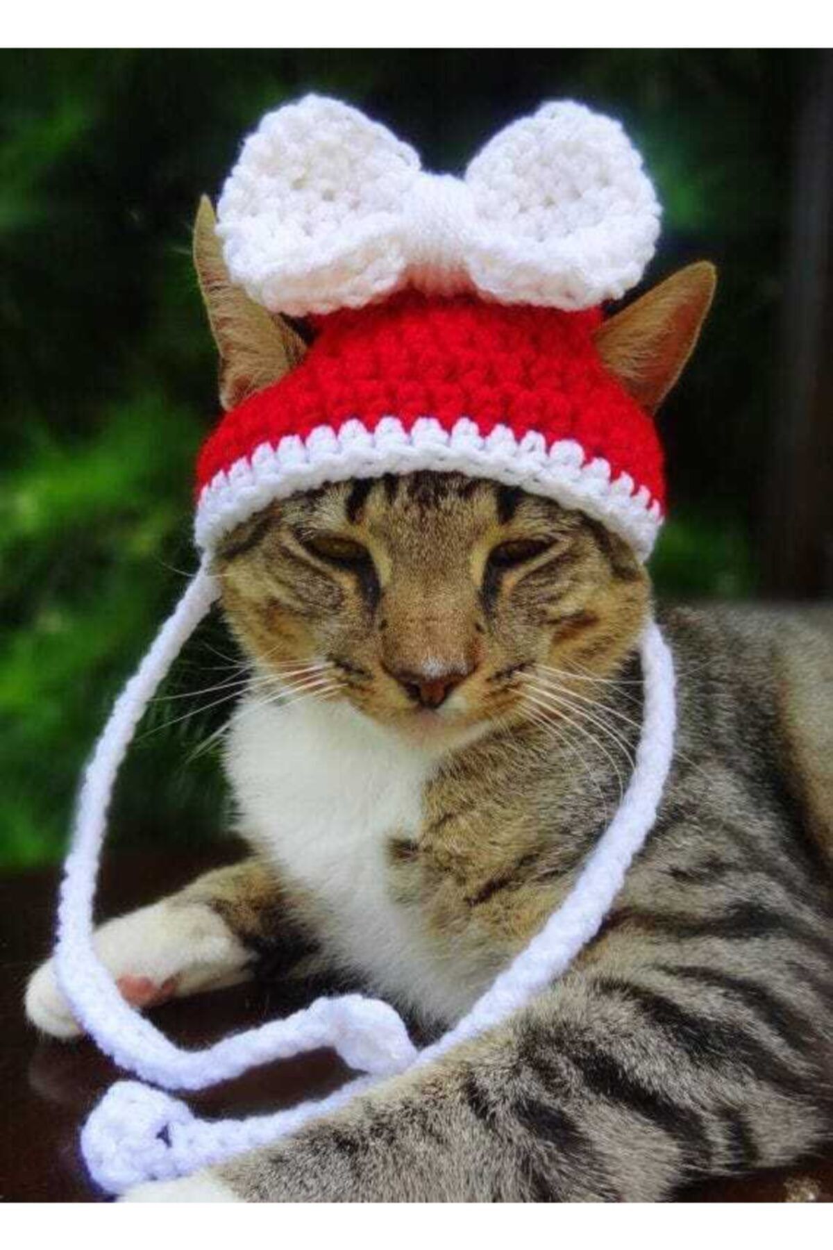 BurDen Dekoratif Ürünler & Tasarım Noel Baba Kedi Şapkası