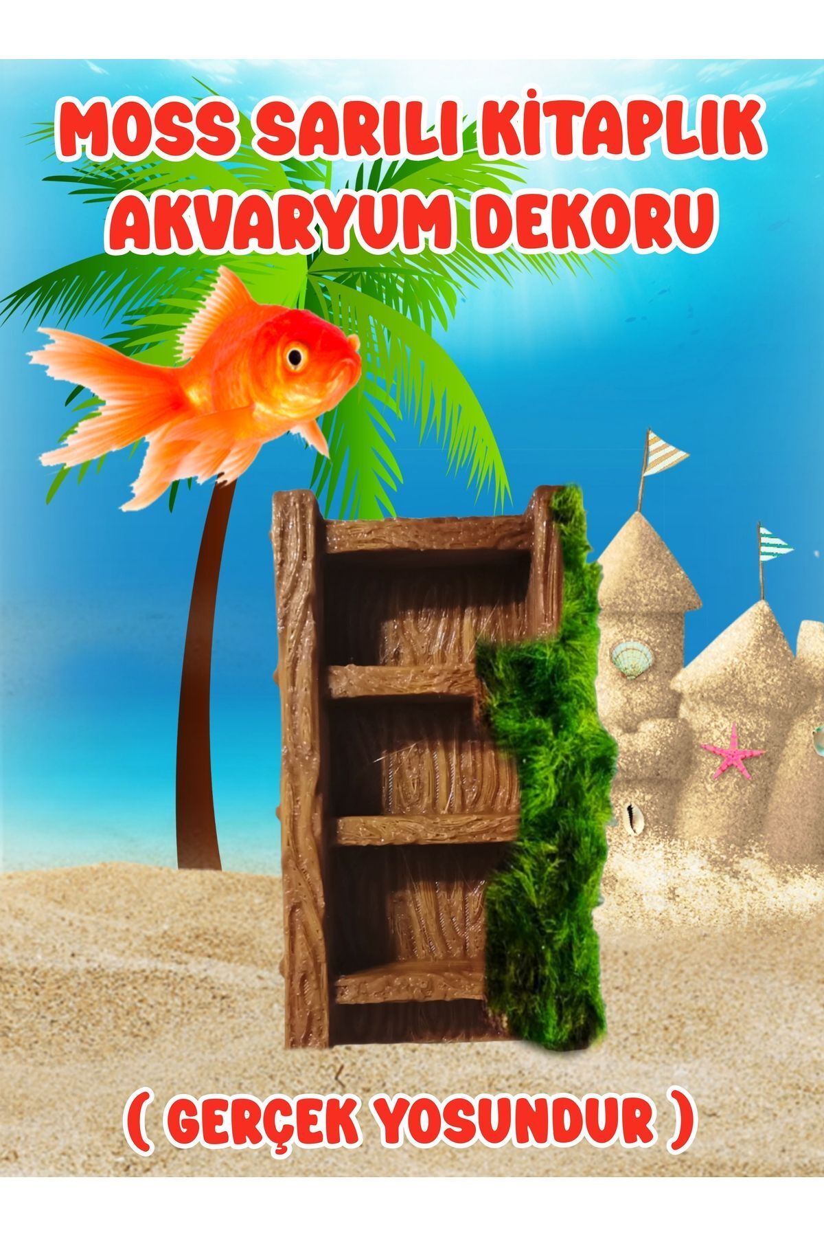 Marimo Scape Moss Akvaryum Dekoru / Yosun Sarılı Kitaplık / Marimo MD İzmir Akvaryum