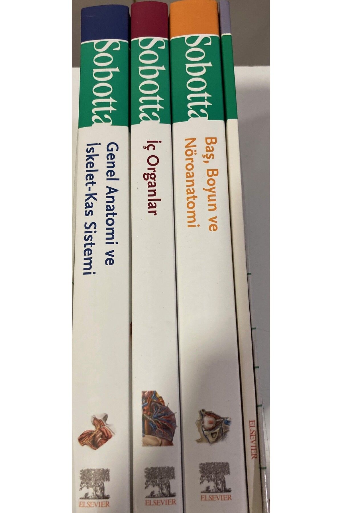Elsevier Sobotta İnsan Anatomisi Atlası Türkçe 4 Cilt