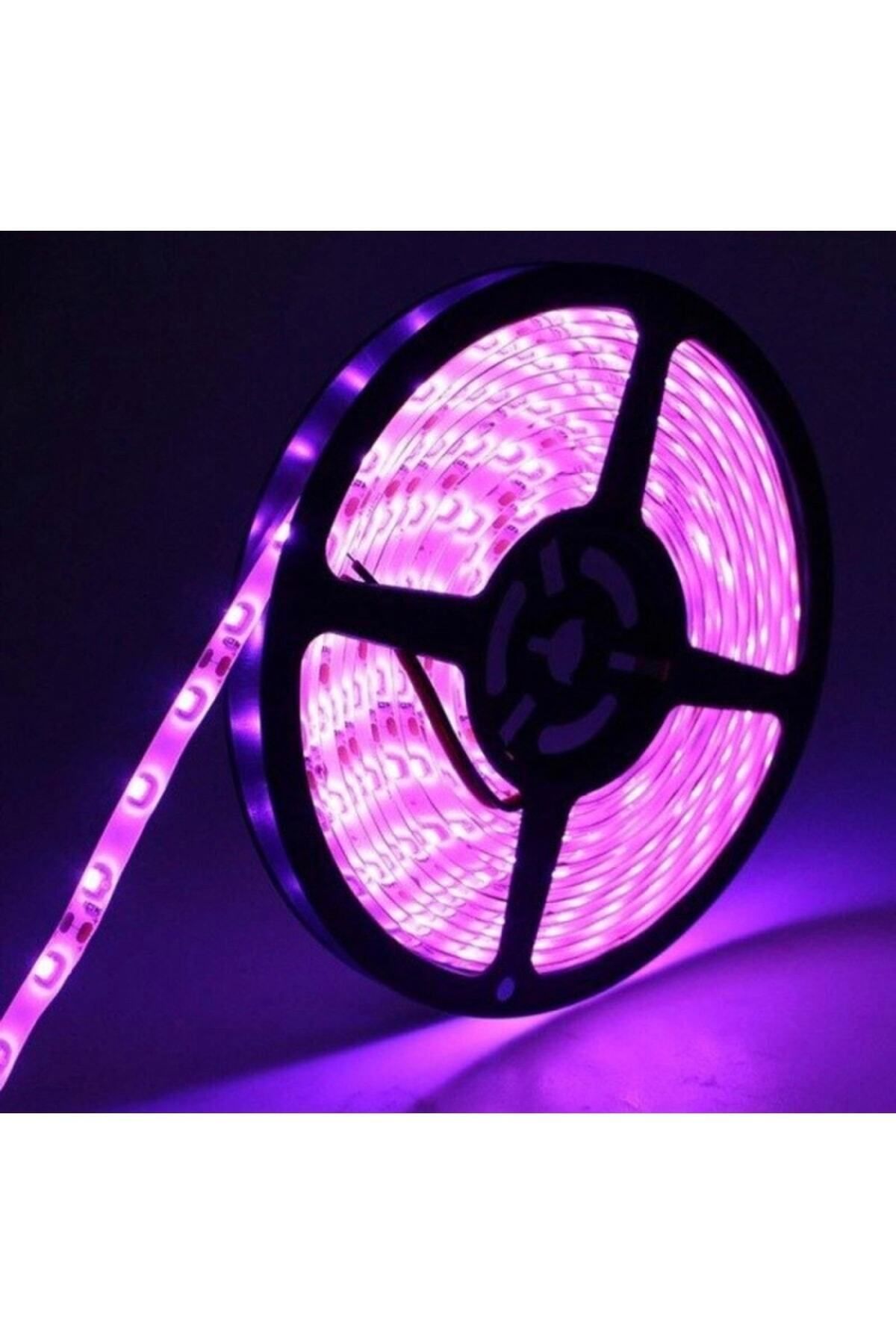 KaraköyOnline 5050 3çipli 24v Dış Mekan Pembe Şerit Led