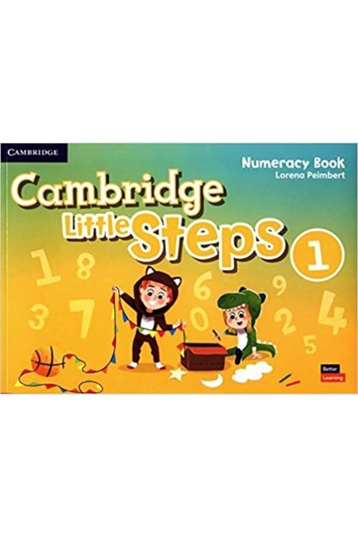 Cambridge University Little Steps Level 1 Numeracy Book