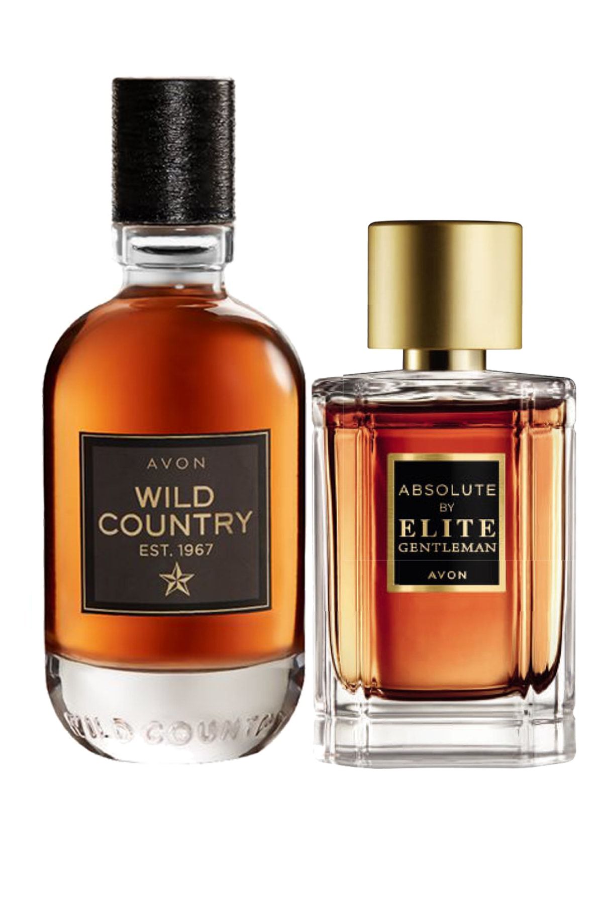 Avon Wild Country Ve Absolute By Elite Gentleman Erkek Parfüm Paketi