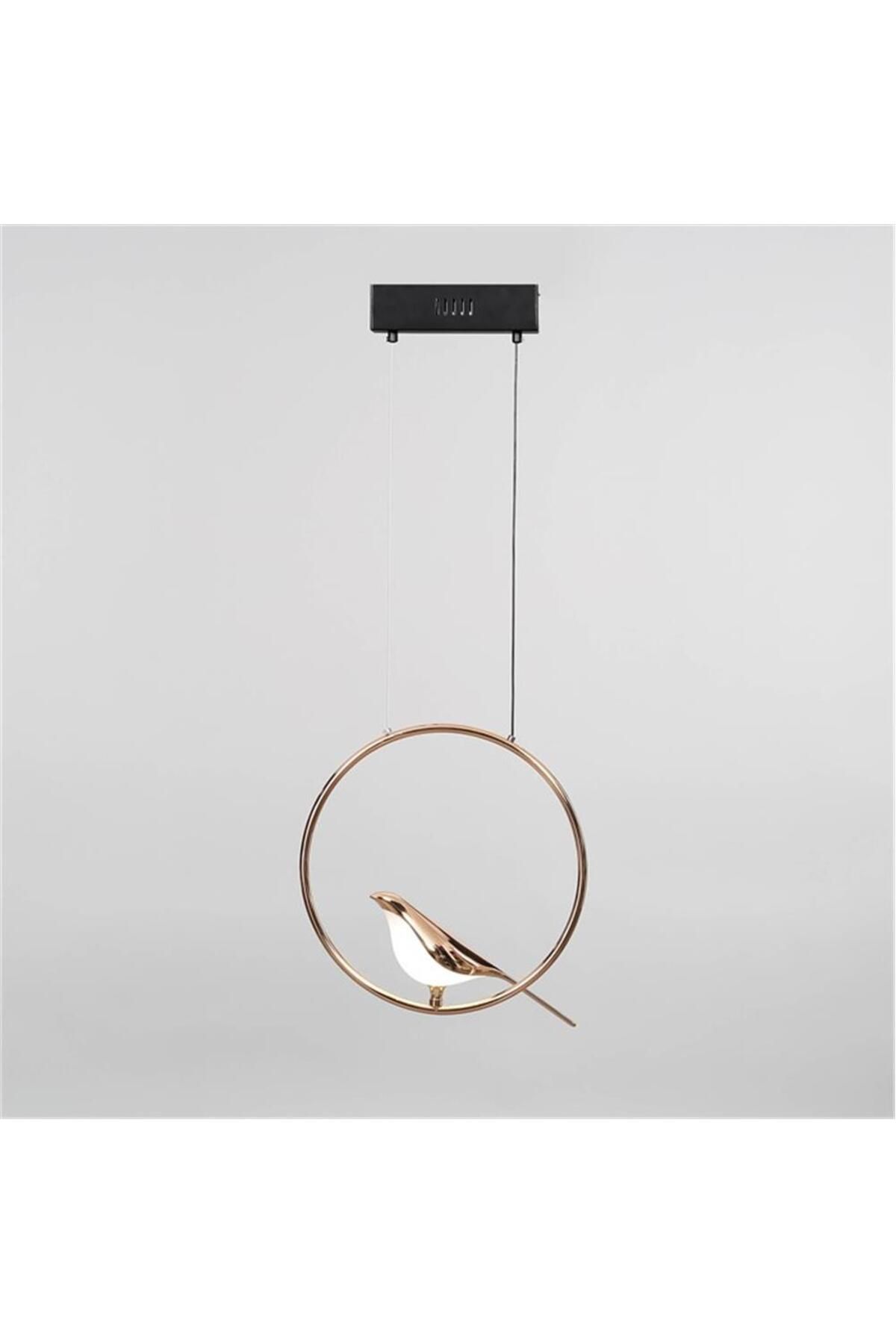 Vitale Modern Kuşlu Avize Ay.vtpl-0107