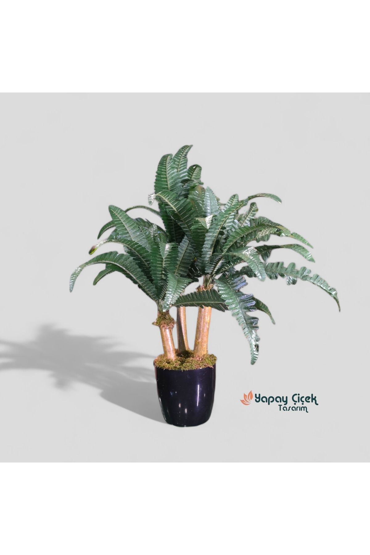 TONALİTE Yapay Bodur 3 Gövdeli Aşk Merdiveni Ağacı 80 cm Nephrolepis