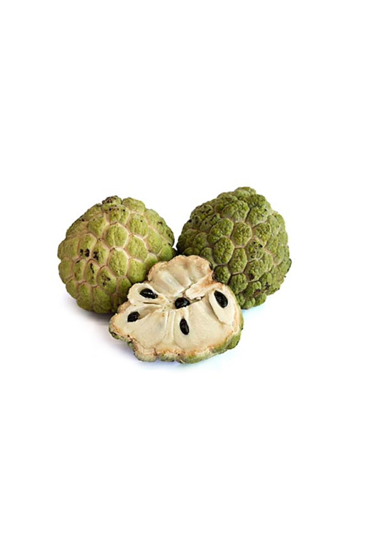Çam Tohumculuk Tropikal Sugar Apple Meyvesi Tohumu 3 Adet Tohum Şeker Elma