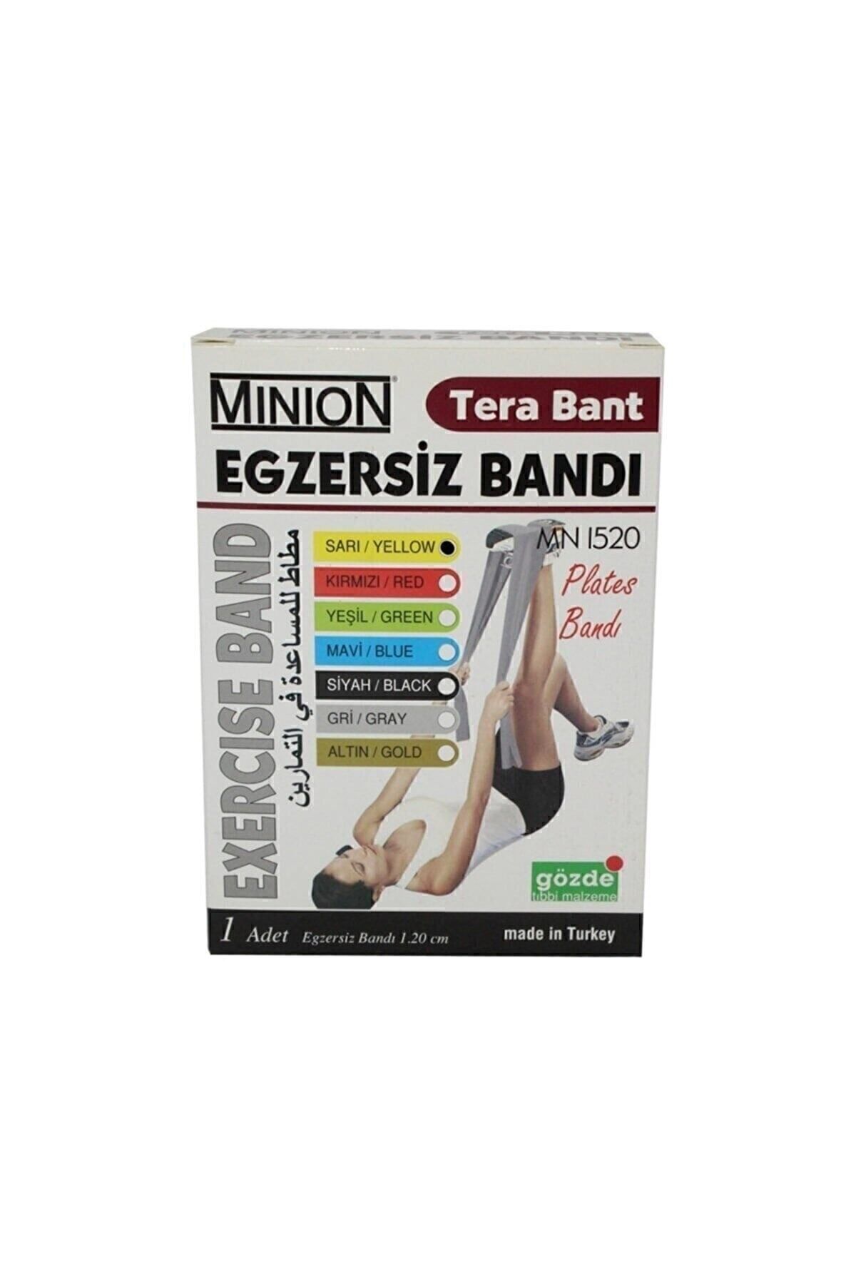 Minion Terabant (SARI) (TERA BANT)