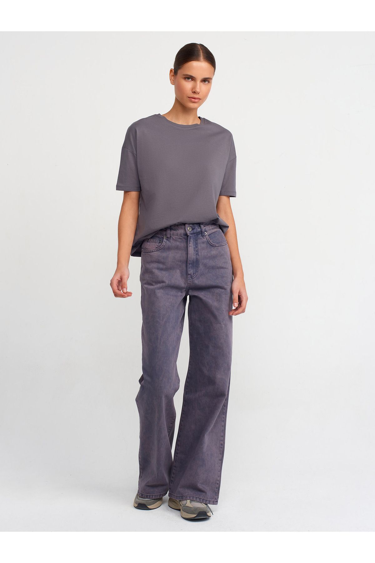 Dilvin 3683 Bisiklet Yaka Basic T-shirt-füme