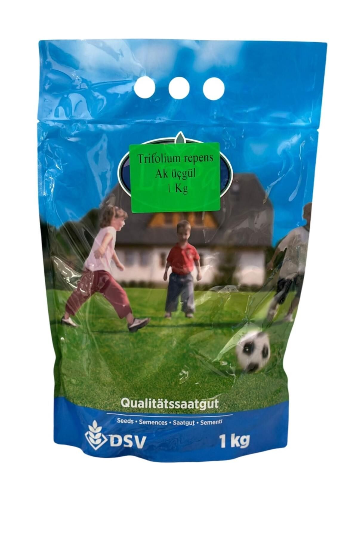 DSV Trifolium Repens Yonca Aküçgül 1 Kg - Çim yoncası