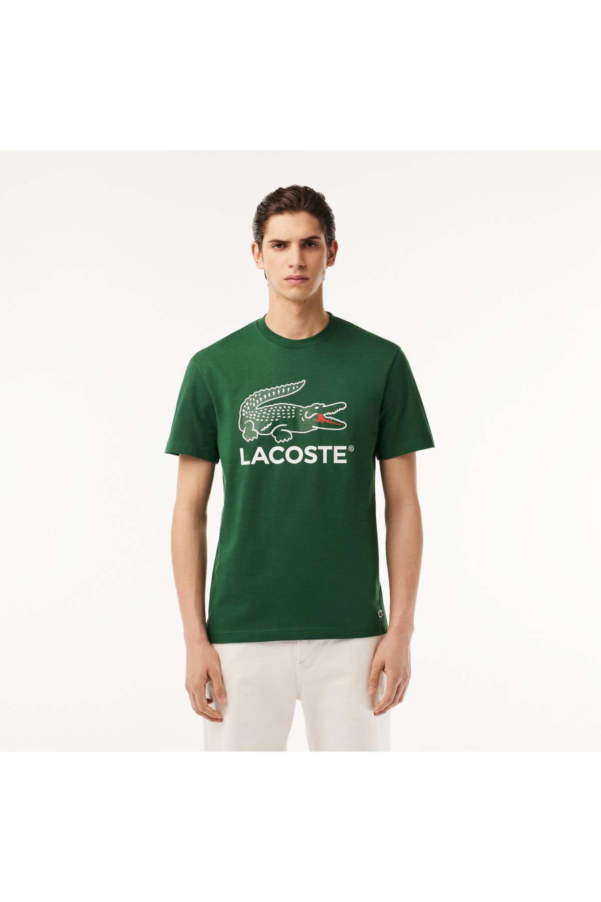Lacoste Erkek Regular Fit Bisiklet Yaka Baskılı Yeşil T-shirt