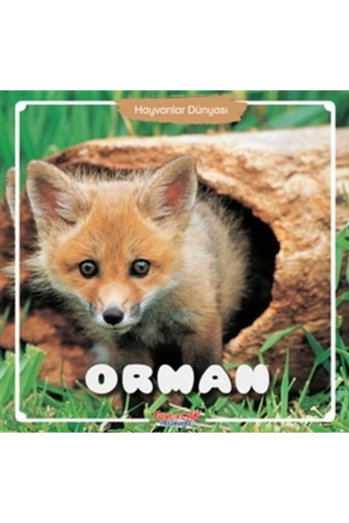 Yumurcak Yayınları Orman - Hayvanlar Dünyası